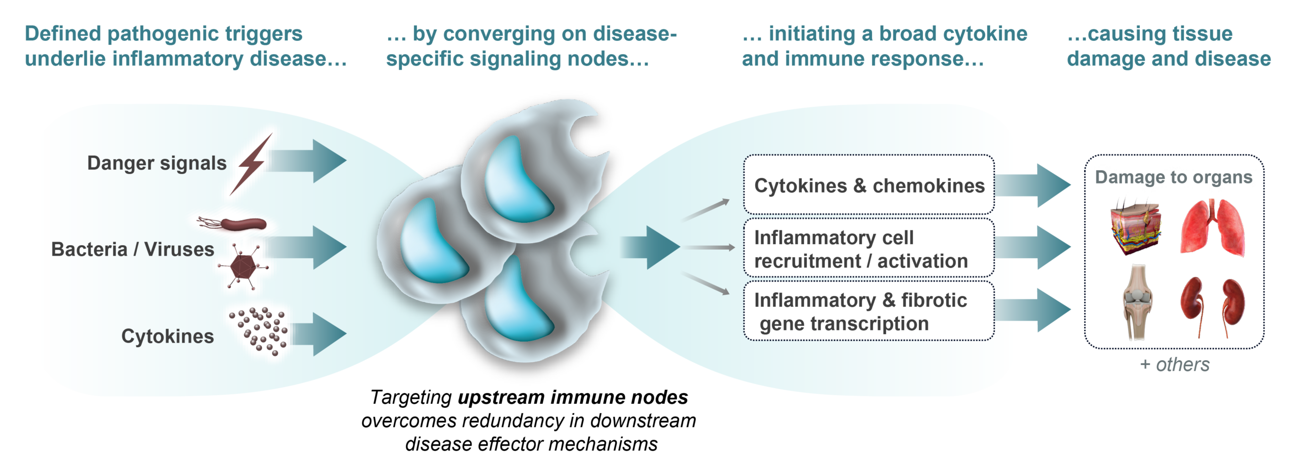 Targeting upstream disease nodes overcomes redundancy in downstream disease effector mechanisms
