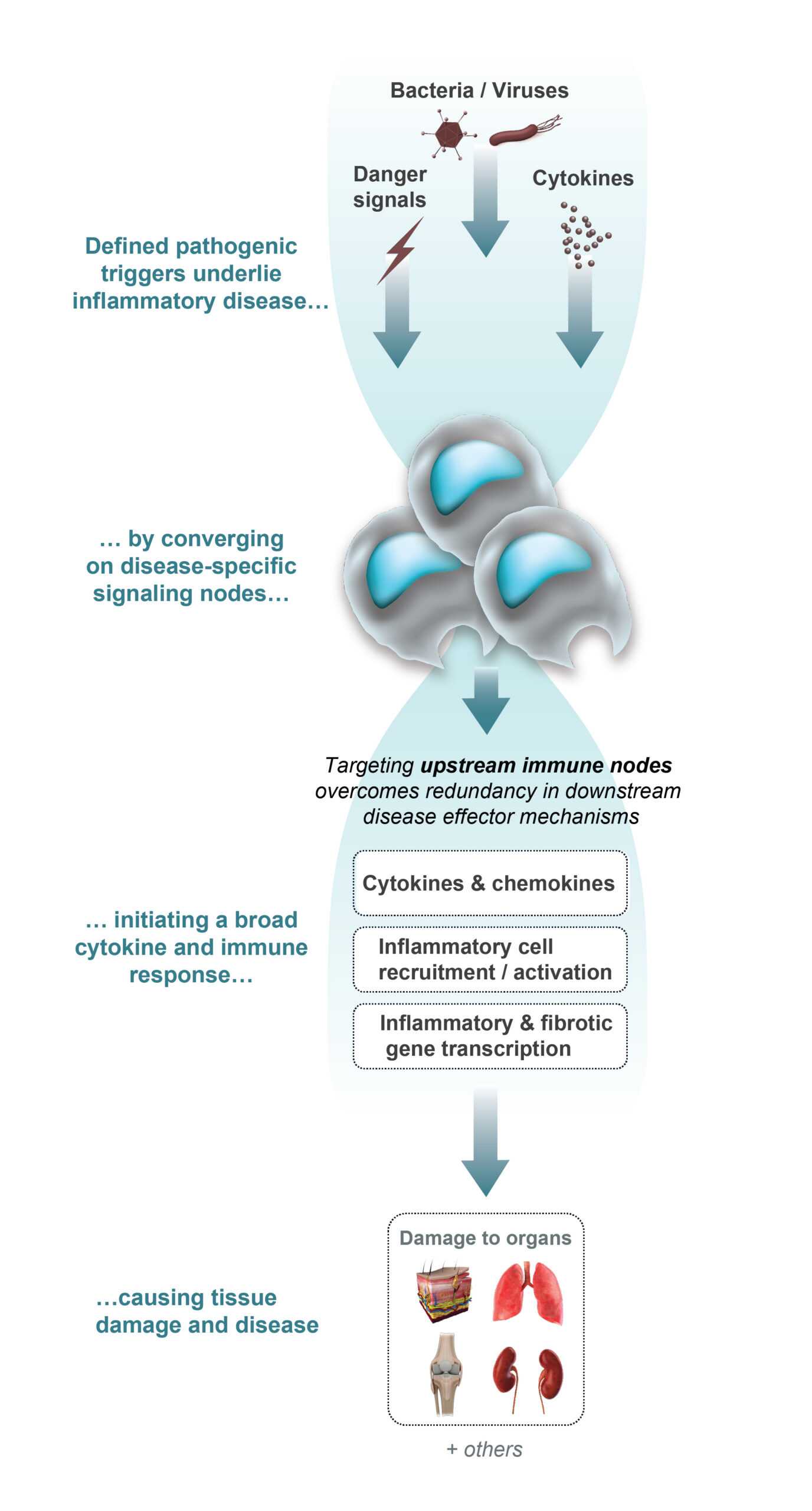Targeting upstream disease nodes overcomes redundancy in downstream disease effector mechanisms